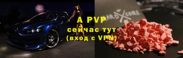 метадон Алексин