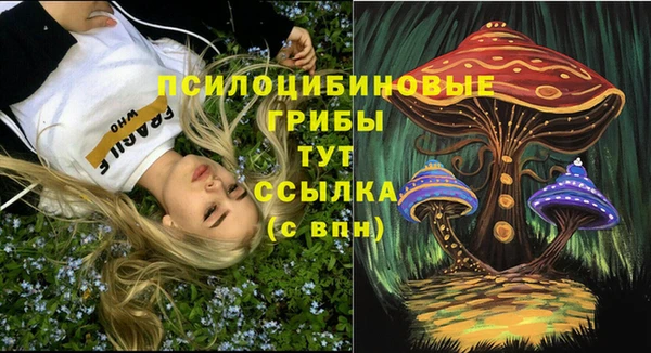 молекула духа Пролетарск